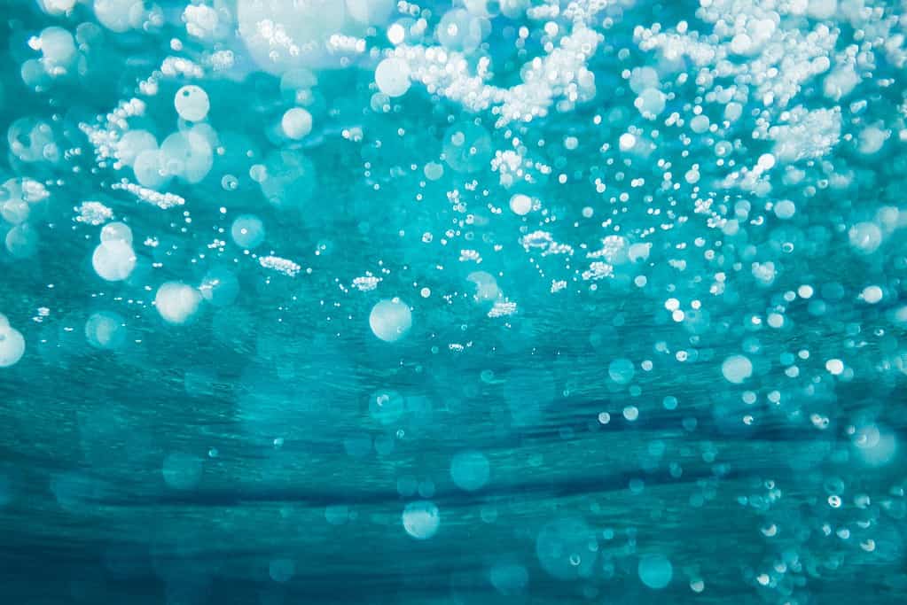 underwater photography of water bubbles
