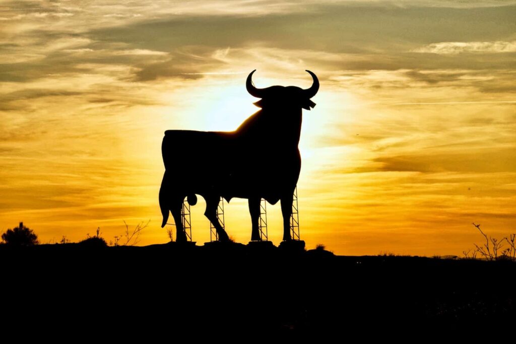 silhouette of yak