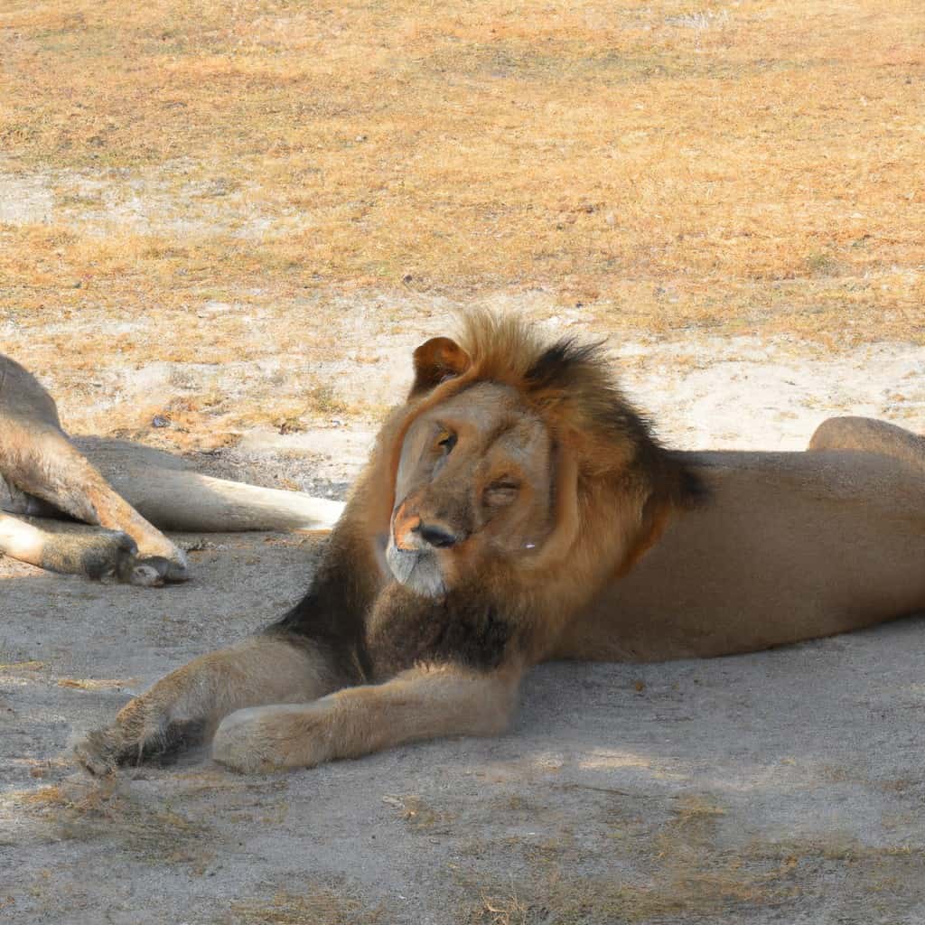 ¿Qué simboliza soñar con leones sueltos? Descubre su significado en tus sueños
